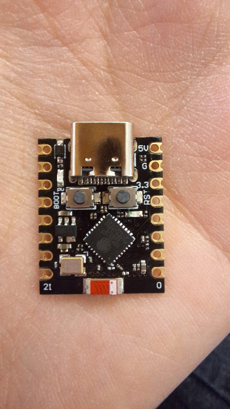 Microcontrolador Detalle